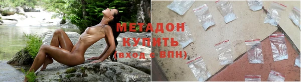 прущие грибы Верхний Тагил