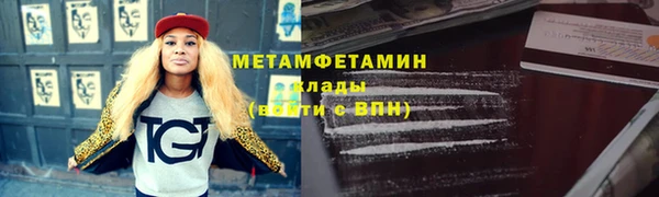 прущие грибы Верхний Тагил