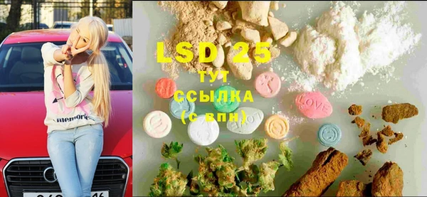 прущие грибы Верхний Тагил