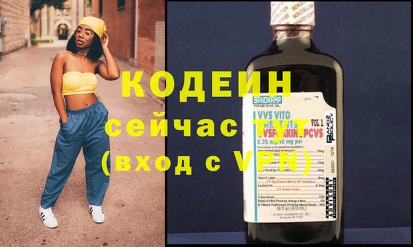 прущие грибы Верхний Тагил