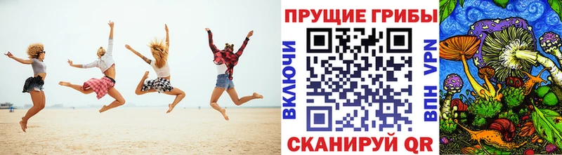 дарнет шоп  Ахтырский  Галлюциногенные грибы MAGIC MUSHROOMS 